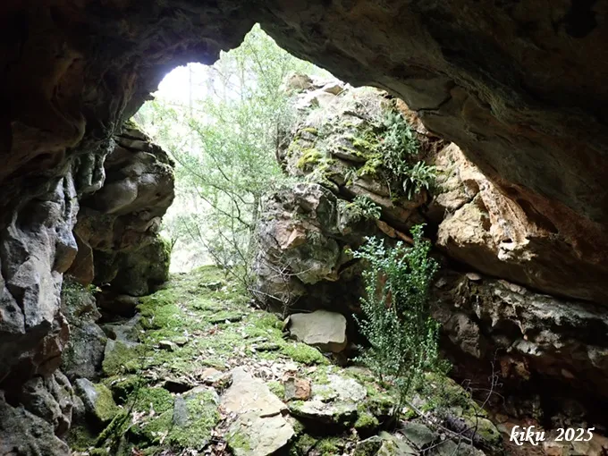 Photograph of MOSQUITS, COVA DELS (6 of 6)