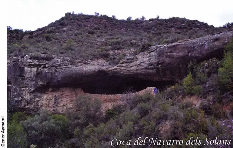 Fotografia de NAVARRO DELS SOLANS, COVA DEL (1 de 3)