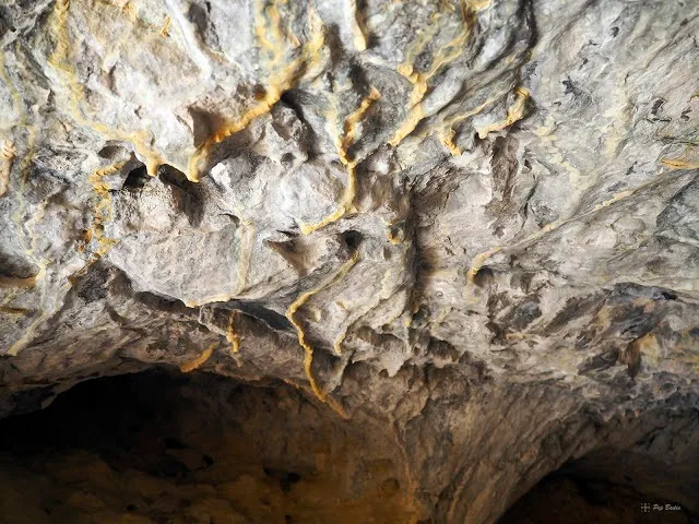 Photograph of RACÓ DEL NINYO, COVA DEL (4 of 4)