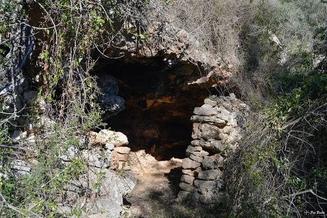 Fotografia de LIAUS, COVA DELS (1 de 2)