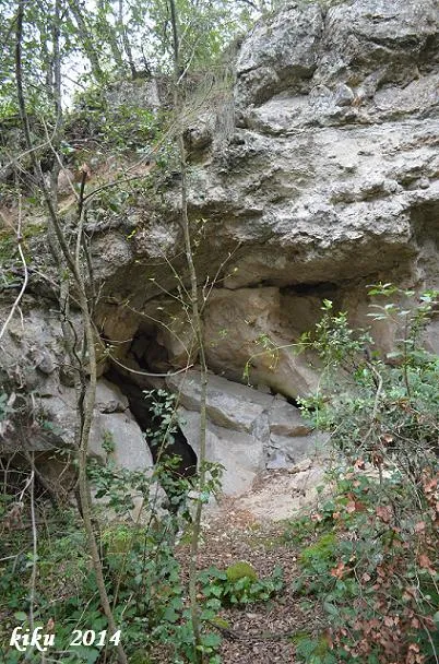 Fotografia de ENCANTADES DE MARTÍS, COVA DE LES (1 de 6)