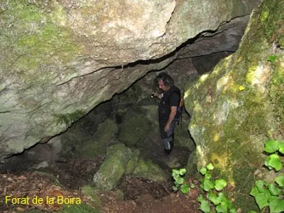 Photograph of BOIRA, FORAT DE LA (4 of 8)