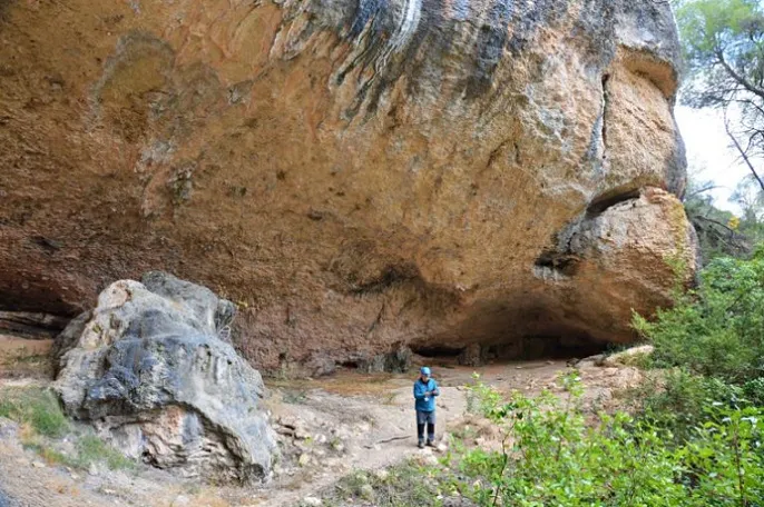Photographie de BOIXA, COVA D'EN (3 sur 4)