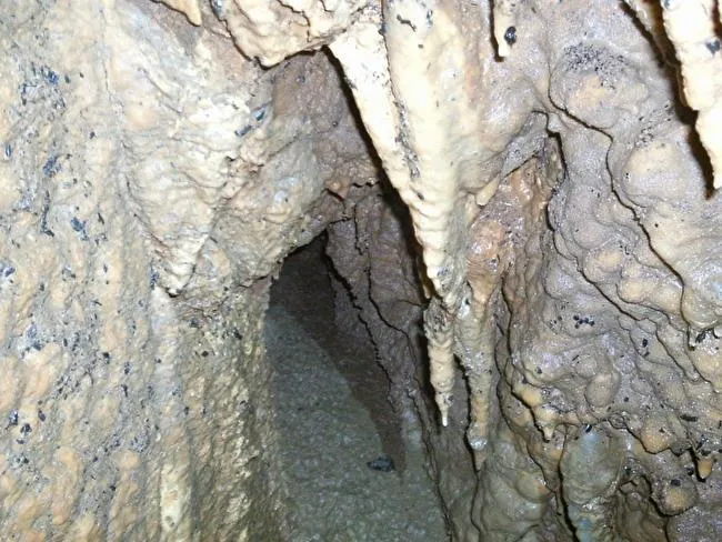 Fotografia de PASTOR, AVENC DEL (5 de 7)
