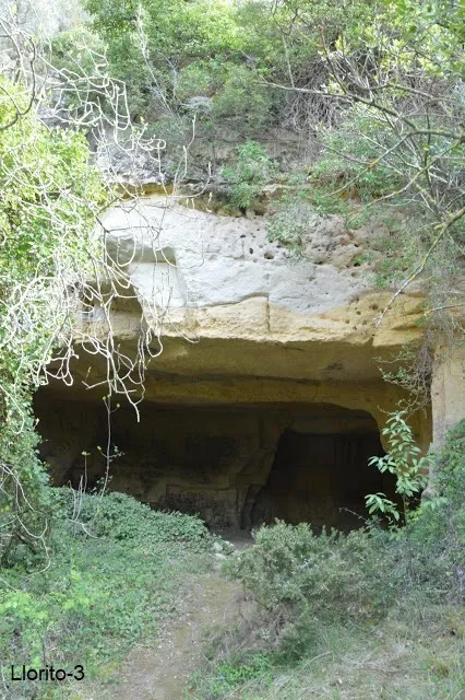 Photographie de LLORITO, COVES DEL (8 sur 11)