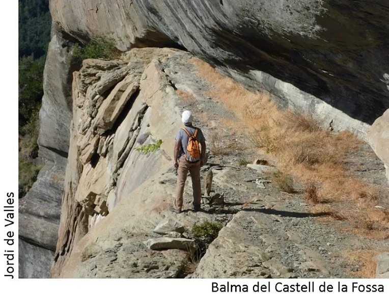 Fotografia de CASTELL DE LA FOSSA, BALMA DEL (3 de 7)