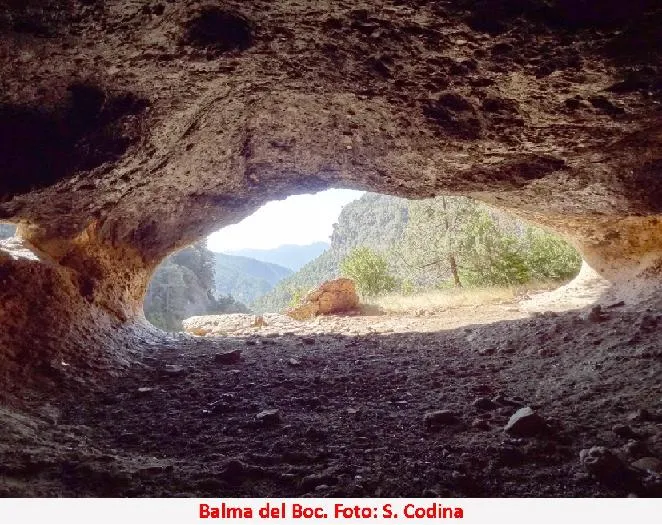 Fotografía de BOC, BALMA DEL (5 de 5)