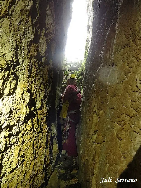 Photograph of PARDINA, GRALLER Nº3 DE LA (6 of 6)