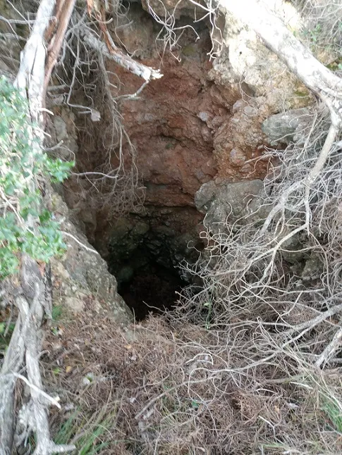 Fotografia de VIDRE, AVENC DEL (2 de 2)