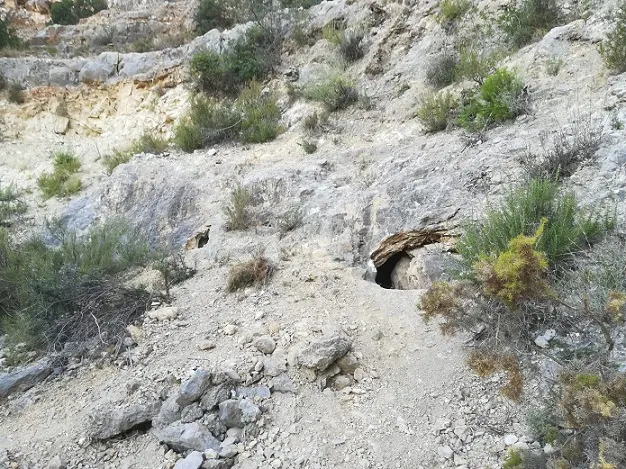 Fotografia de PEDRERA DE L'ANTIC, FORAT DE LA (1 de 8)