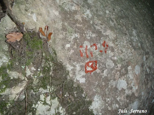 Fotografia de NR-9, COVA (2 de 5)