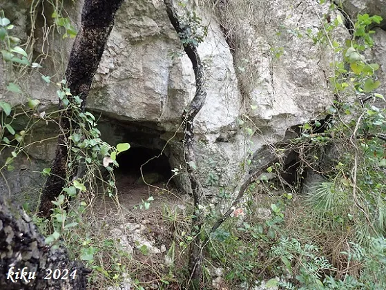 Fotografía de TOIXÓ, COVA DEL (3 de 7)