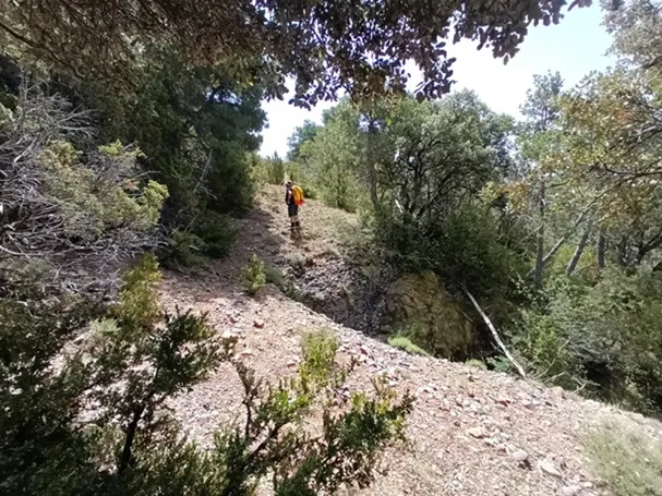 Fotografía de BAIARRI, GRALLERA DE (1 de 6)