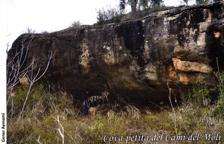 Fotografia de CAMÍ DEL MOLÍ, COVA PETITA DEL (1 de 3)
