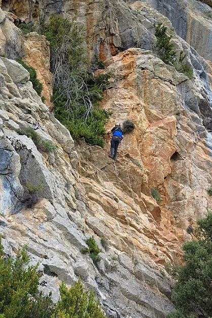 Fotografia de SABATER, ESPLUGA DEL (1 de 5)