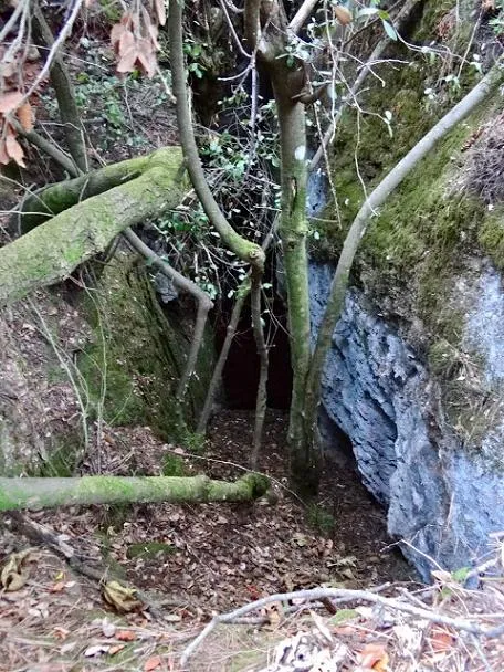 Fotografia de SALT, AVENC DEL (1 de 1)