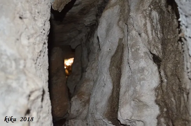 Photograph of GINA, FORAT DE LA (3 of 4)
