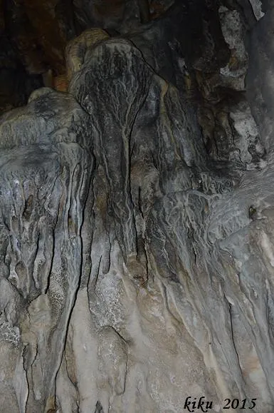Fotografía de PUIG FRANCÀS, AVENC DE (7 de 7)