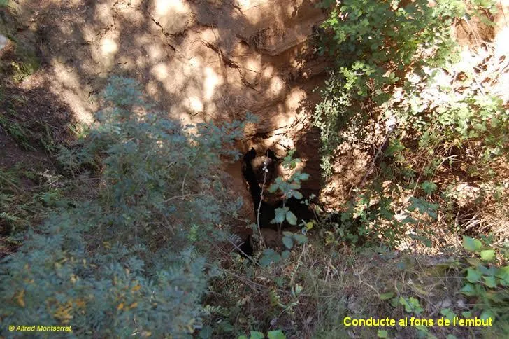 Fotografia de CAN TRULLARS, COVA DE (2 de 10)
