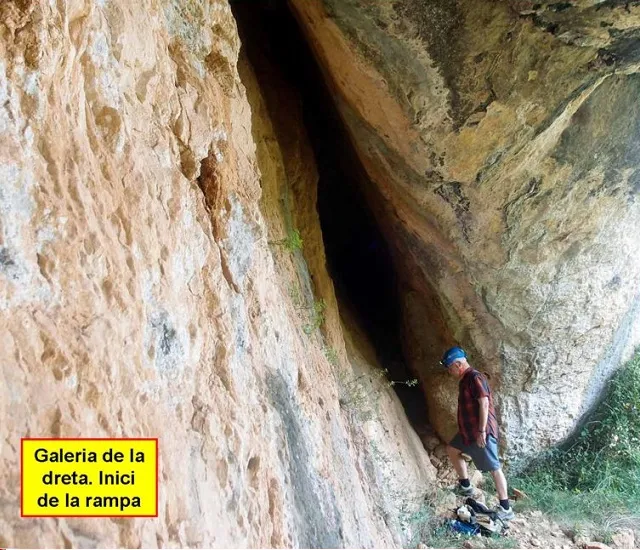 Photographie de SAL, COVA DE LA (3 sur 8)