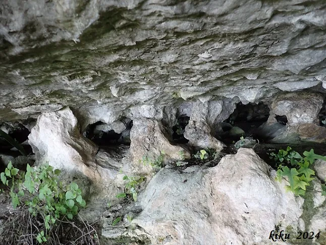 Photographie de PARE PASQUAL, COVA DEL (6 sur 7)