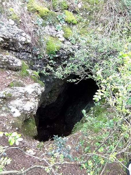 Photograph of MATINERS, COVA DELS (1 of 6)