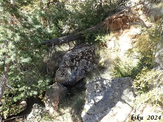 Fotografia de CINGLE DE LA CORBA, AVENC DEL (4 de 5)