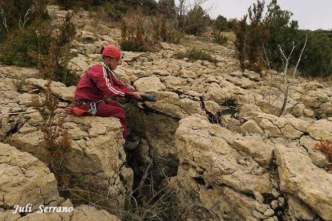 Photographie de PARDINA, GRALLER Nº4 DE LA (2 sur 8)