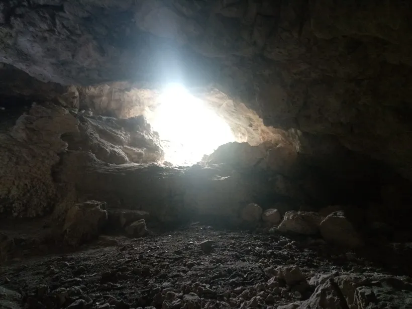 Photograph of DURAN, COVA D'EN (3 of 5)