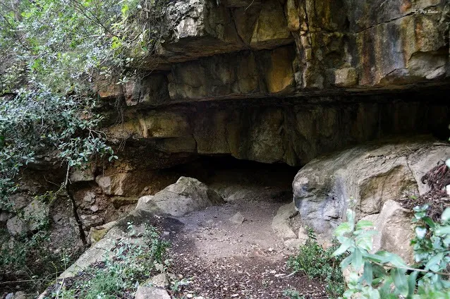 Fotografía de LLOP, COVA DEL (1 de 3)