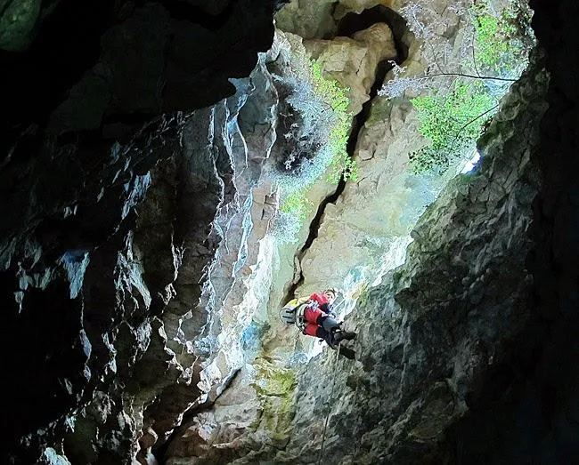 Fotografía de CINGLE DE ROCA ALTA, AVENC DEL (4 de 8)