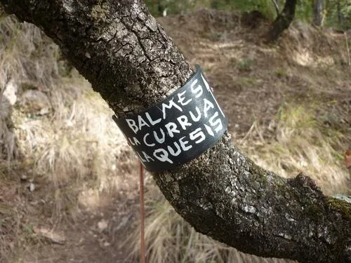 Fotografia de QUESIS, BALMA DE LA (1 de 1)
