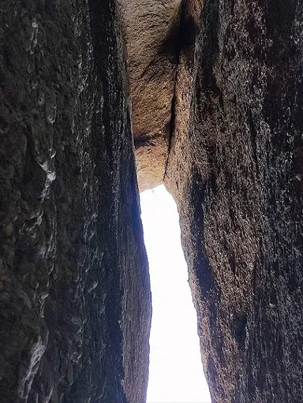 Photographie de TEIXOS, ESCLETXA DELS (4 sur 5)