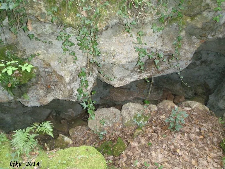 Photograph of MARIVER DE MARTÍS Nº2, COVA DE (3 of 3)