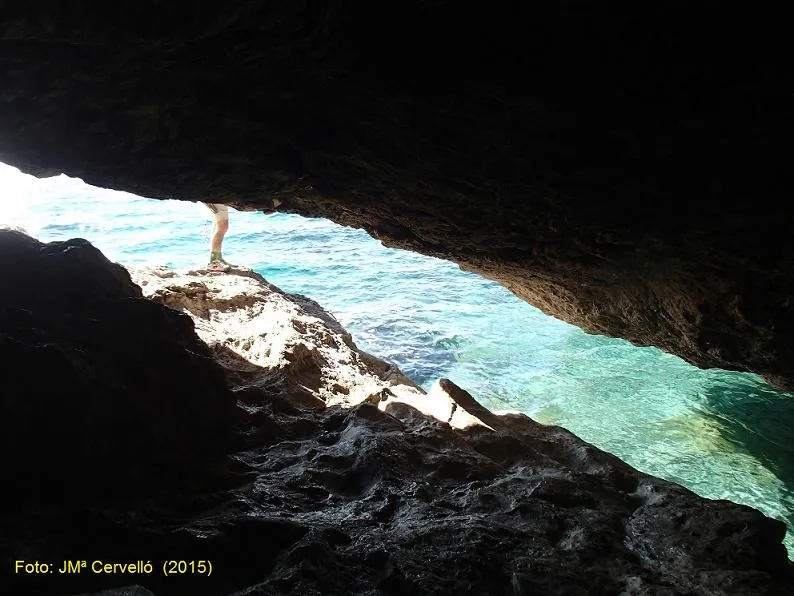 Photographie de XARXA, COVA DE LA (3 sur 5)