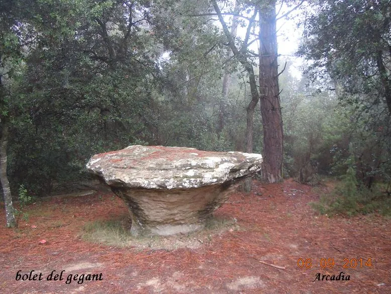 Photographie de GEGANT, COVA DEL (8 sur 9)