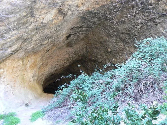 Photographie de CAN MAURI, COVA DE (3 sur 3)