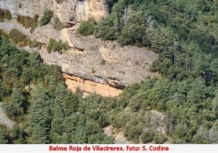 Fotografia de ROJA DE VILACIRERES, BALMA (2 de 3)