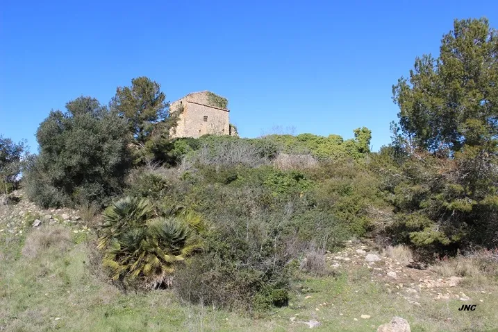 Fotografía de VENTOSES, COVA DE LES (1 de 4)