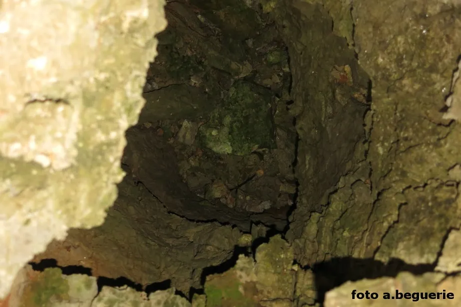 Fotografia de PS-2, AVENC (3 de 3)