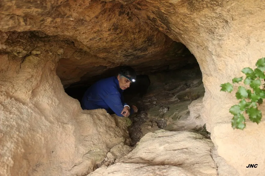 Photograph of ARTIGA, COVA Nº2 DE L' (3 of 4)