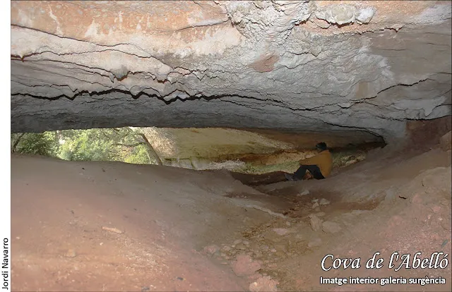 Photograph of ABELLÓ, COVA DE L' (3 of 4)