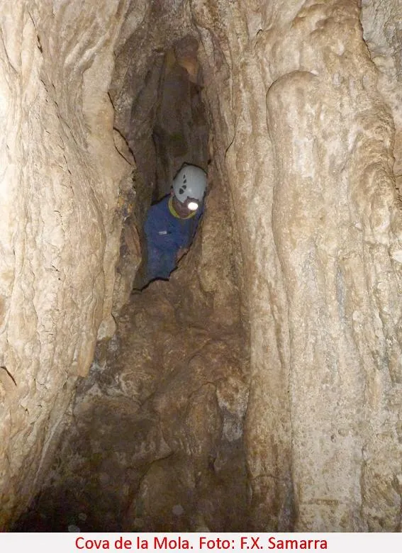 Fotografia de MOLA, COVA DE LA (3 de 4)