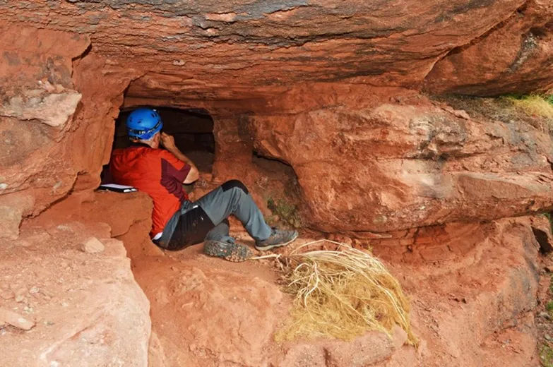 Photograph of JANDET, COVA DEL (1 of 3)