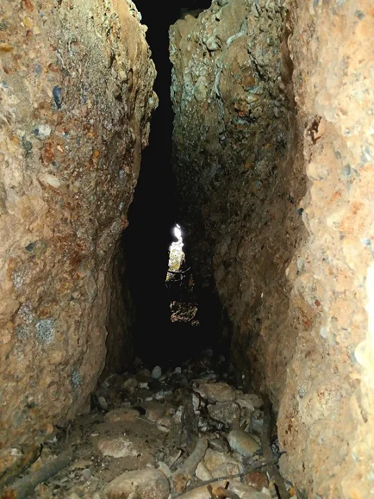 Fotografia de PEPET, BÒFIA D'EN (6 de 8)
