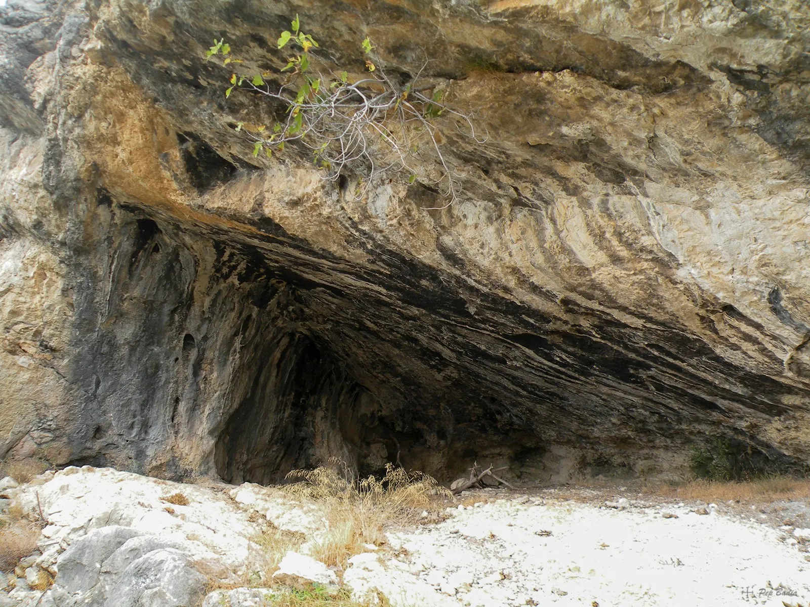 Fotografia de GALL, COVA DEL (1 de 1)