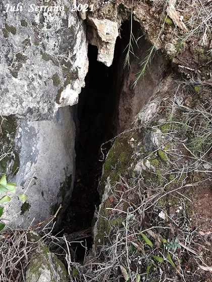 Fotografia de MAS DE LES FONTS, ESQUERDA Nº 6 DEL (1 de 5)