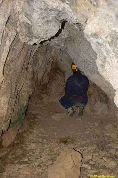 Fotografia de OLOPTE, COVA C D' (3 de 5)