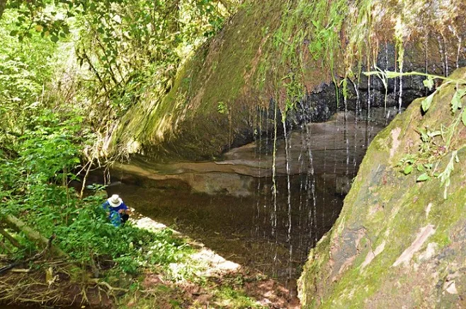 Fotografia de CONILLS, BALMA DELS (3 de 4)