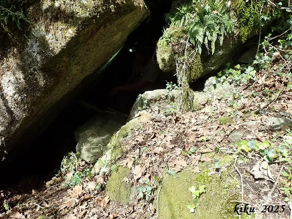 Fotografía de TOFAROQUES DE LES PINOSES, COVA LES (5 de 5)